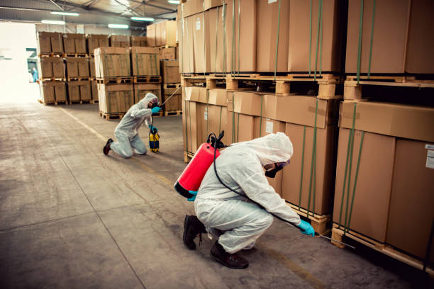 Best Residential Pest Control  in Nth Plains, OR