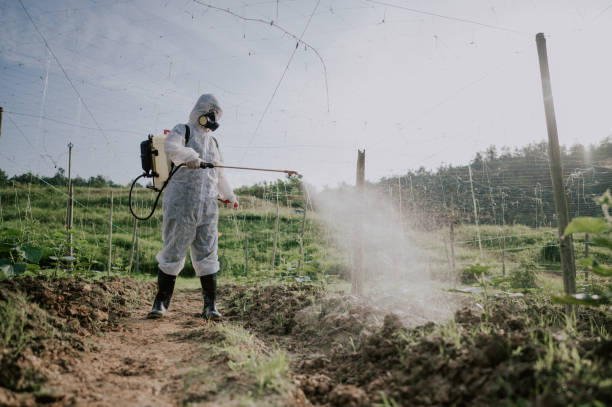 Best Commercial Pest Control Services  in Nth Plains, OR