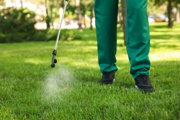 Best Mosquito Control Services  in Nth Plains, OR