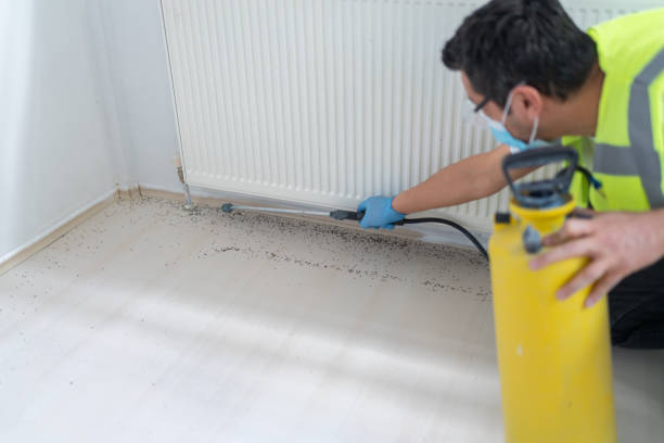 Best Termite Control Services  in Nth Plains, OR